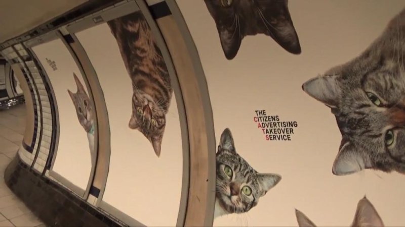 Picture of CATS ads in London Clapham Common Tube station| by Newsflare